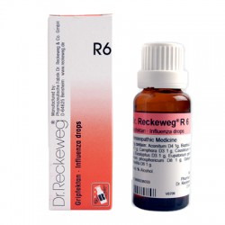 Dr. Reckeweg R6 (Gripfektan)