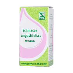 Willmar Schwabe India Echinacea Angustifolia 1X MT Tablets